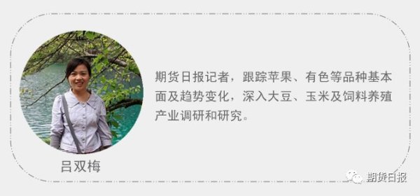 迪时策略 利多来袭！苹果期货价格持续上涨